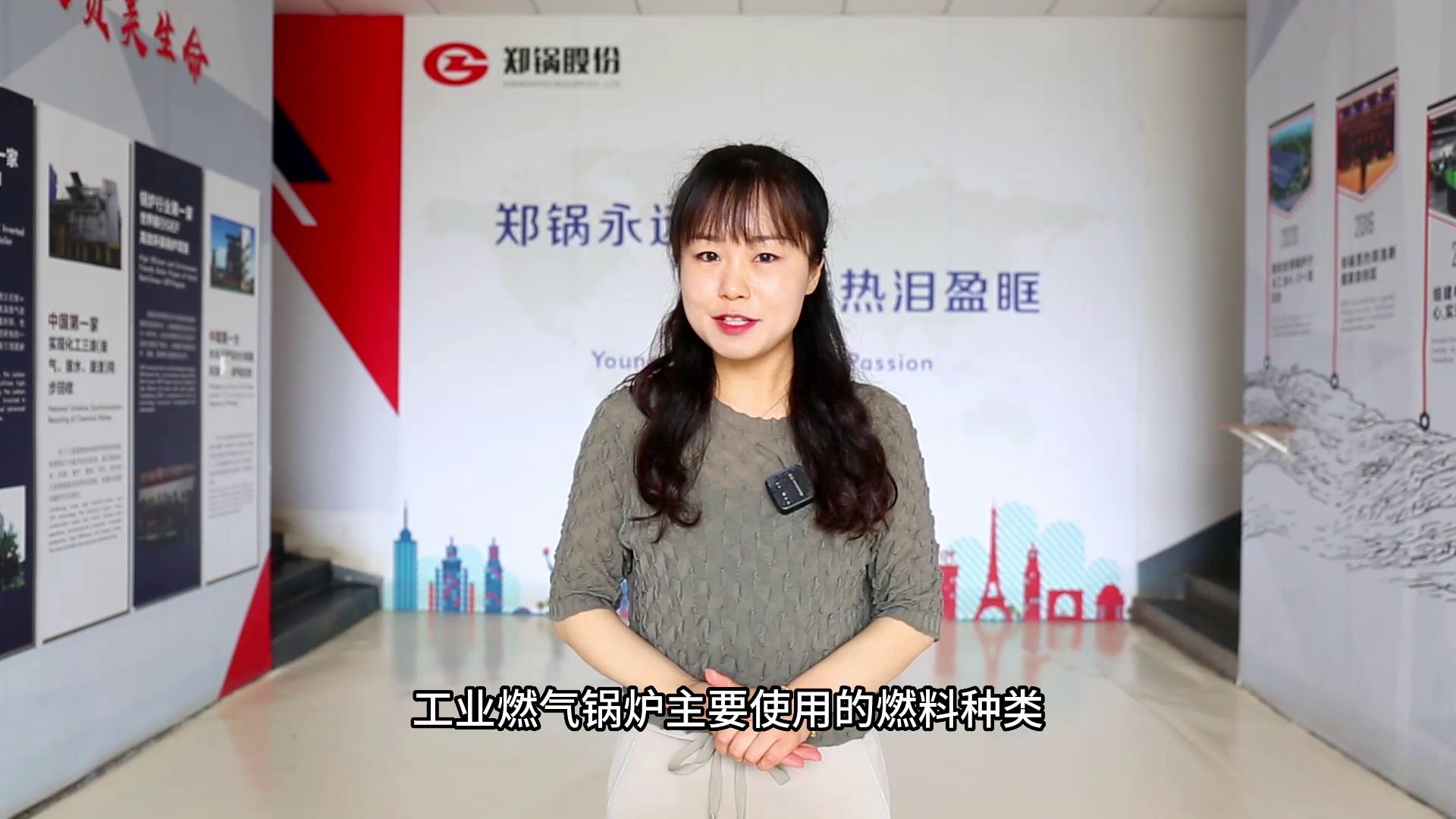工业燃气凯发k8国际首页登录的燃料种类