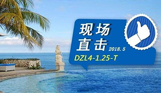 现场直击丨看生物质凯发k8国际首页登录在巴厘岛怎样强操作，转头客非它不选
