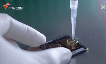 PG电子游戏(中国集团)官方网站