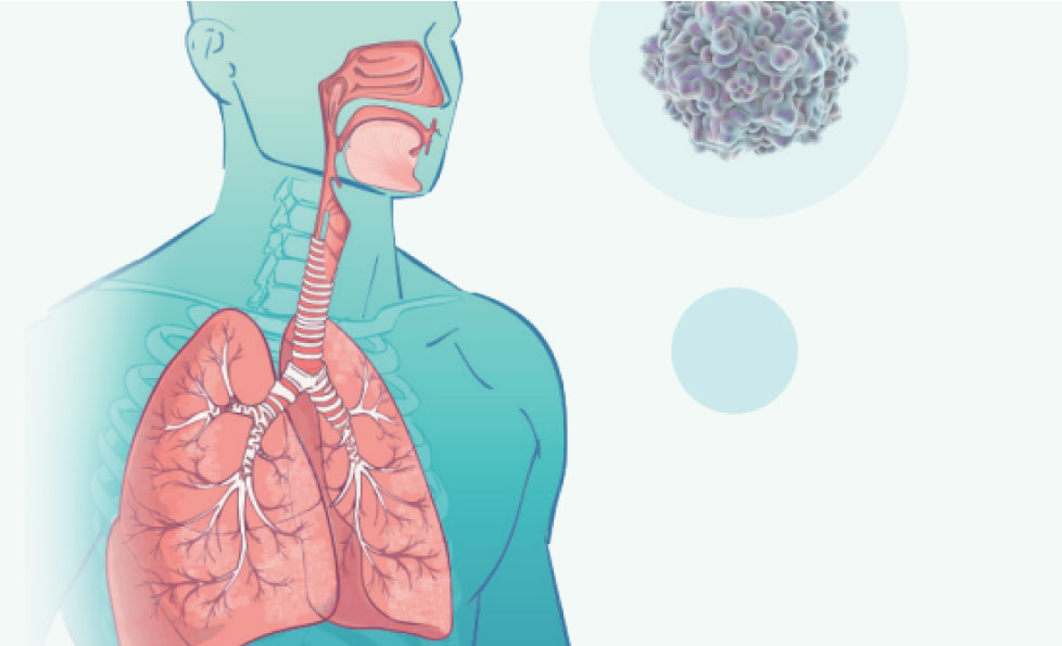 PG电子游戏(中国集团)官方网站