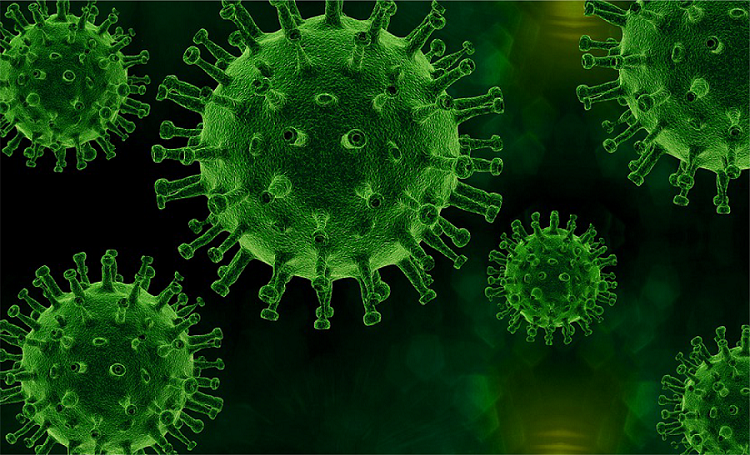 PG电子游戏(中国集团)官方网站