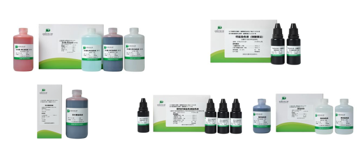 PG电子游戏(中国集团)官方网站