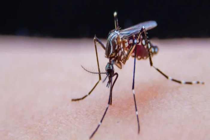 PG电子游戏(中国集团)官方网站